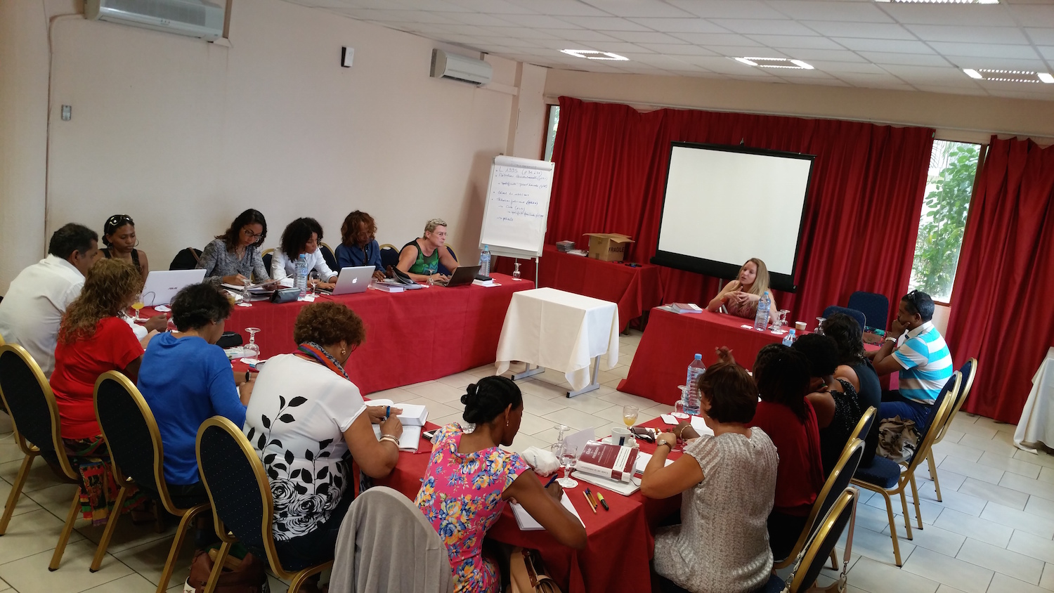 Session de formation à la médiation professionnelle en Guadeloupe.